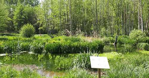 ens moulin de la porte